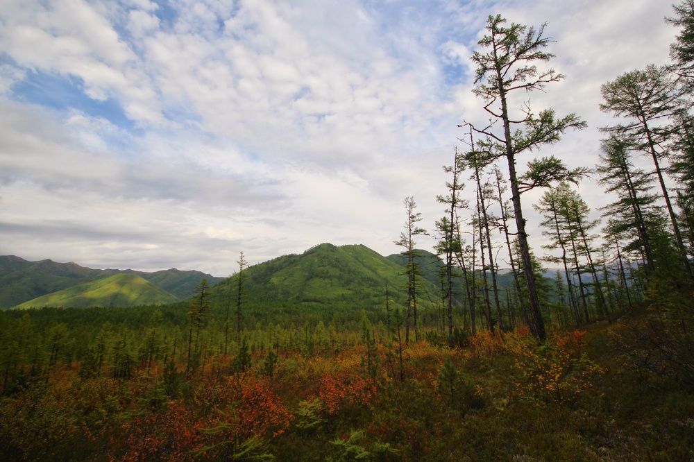 Photograph by Владимир Екимовский