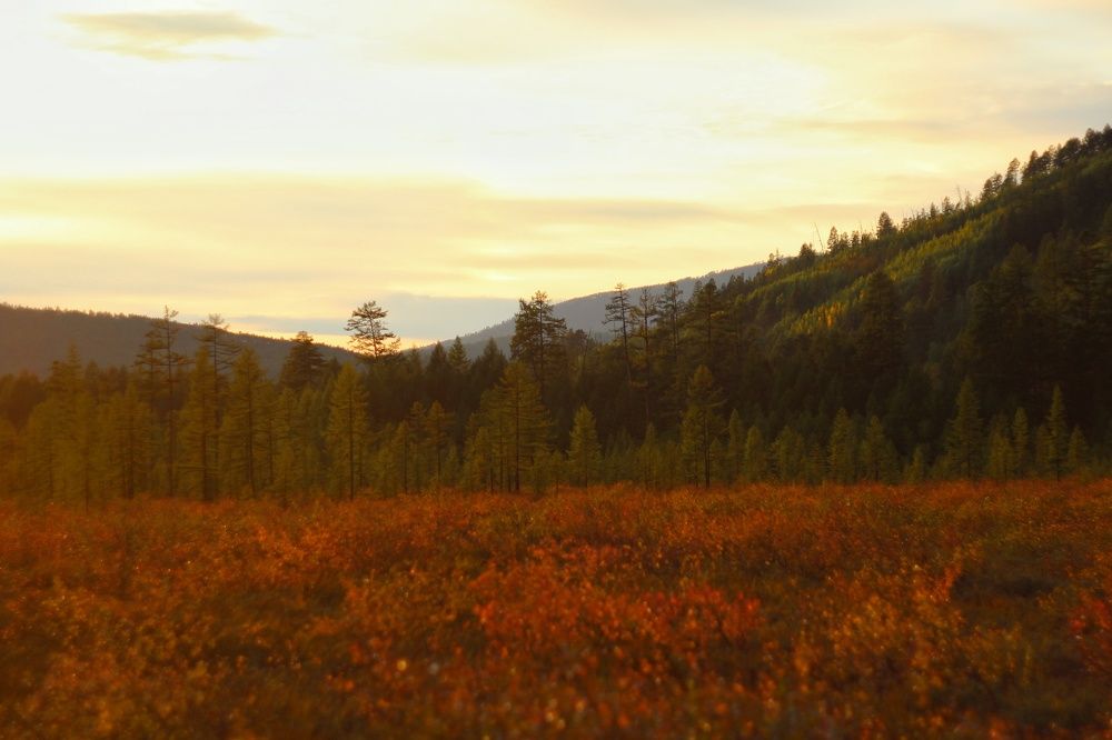 Photograph by Владимир Екимовский