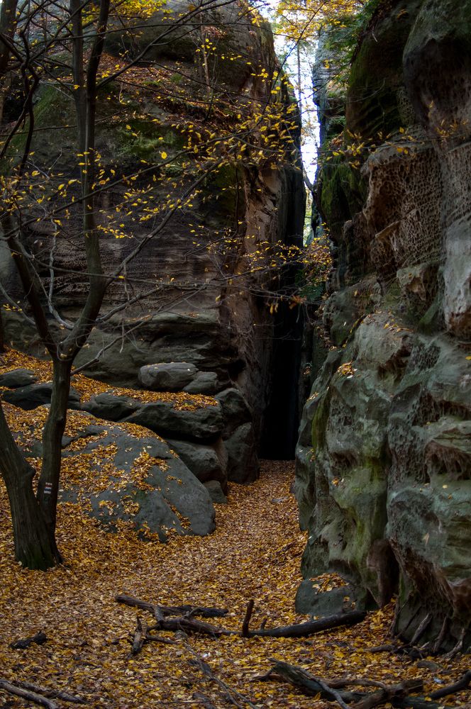 Фотография автора Chorche Prigo