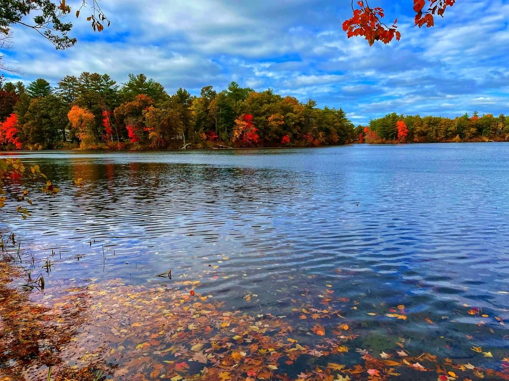 Фотография автора Olga Andriuc