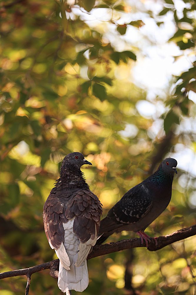 Photograph by Толмачёва Ирина