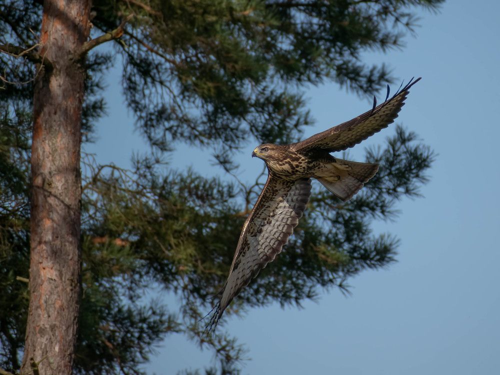 Photograph by Евгений