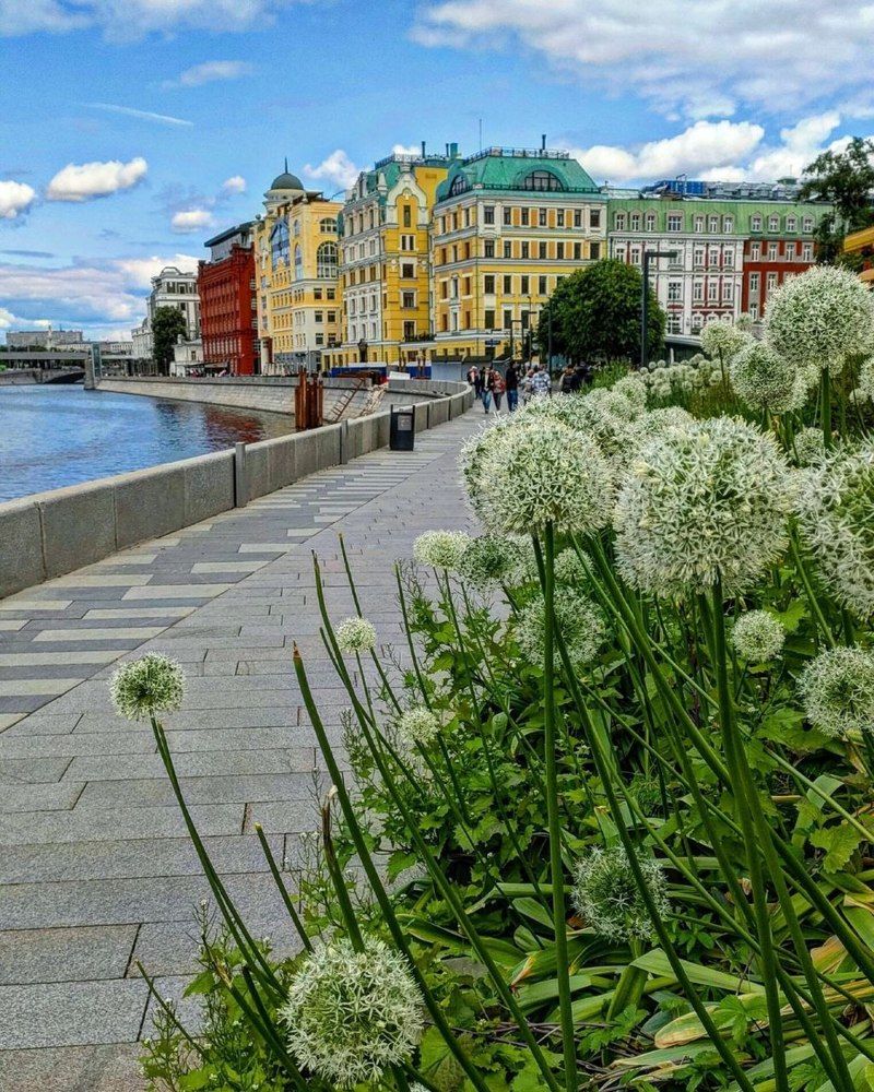 Photograph by Наталья