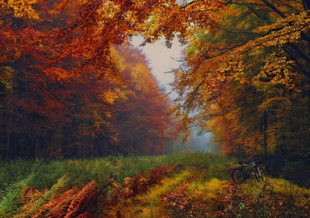 Photograph by Владимир