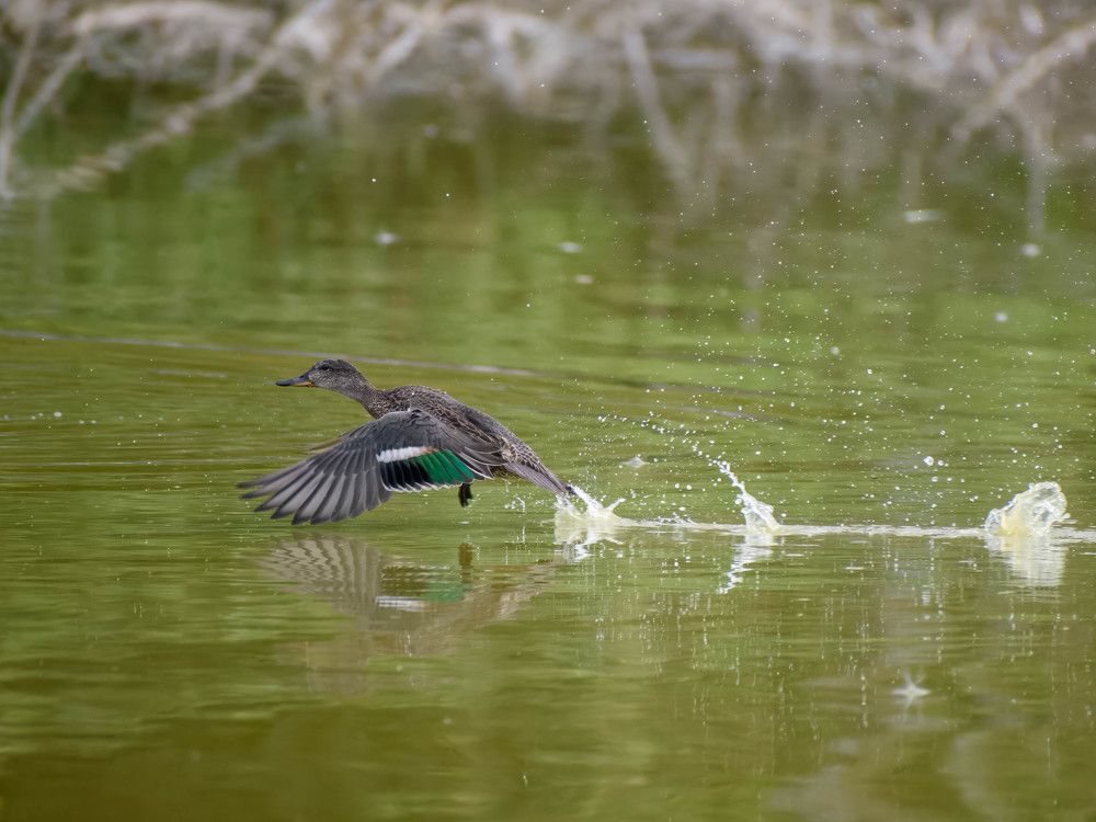Photograph by Евгений