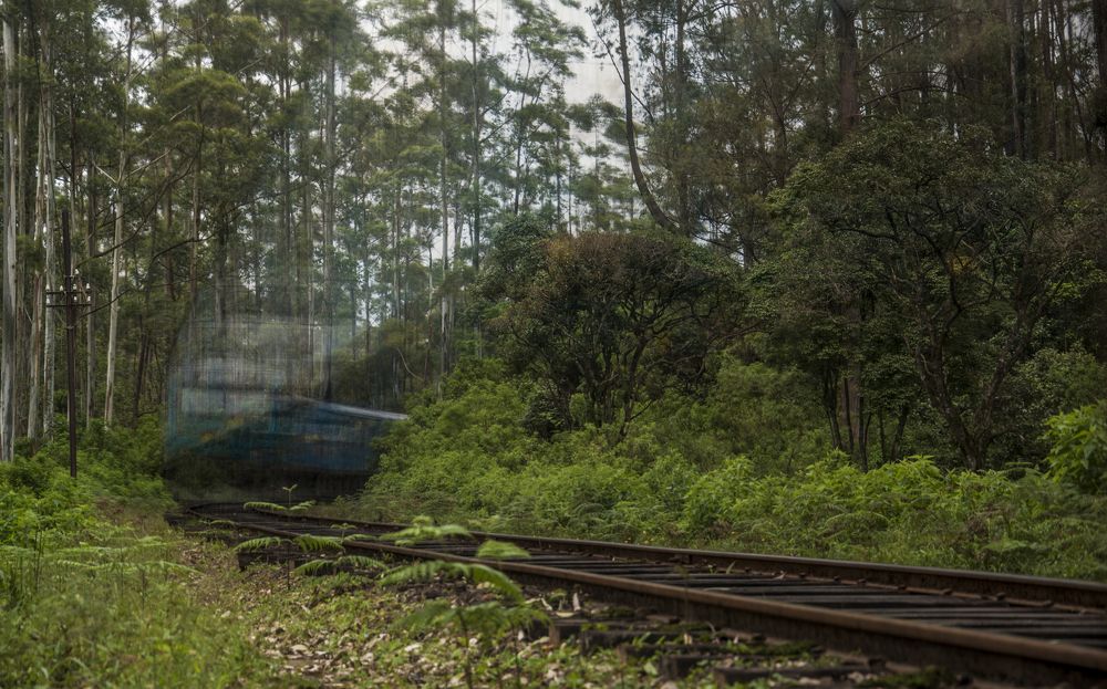 Photograph by Chamara Sulakkhana Polwatta Siriyalage