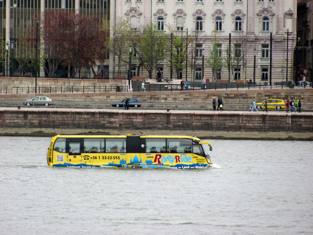 Photograph by Мила Милая