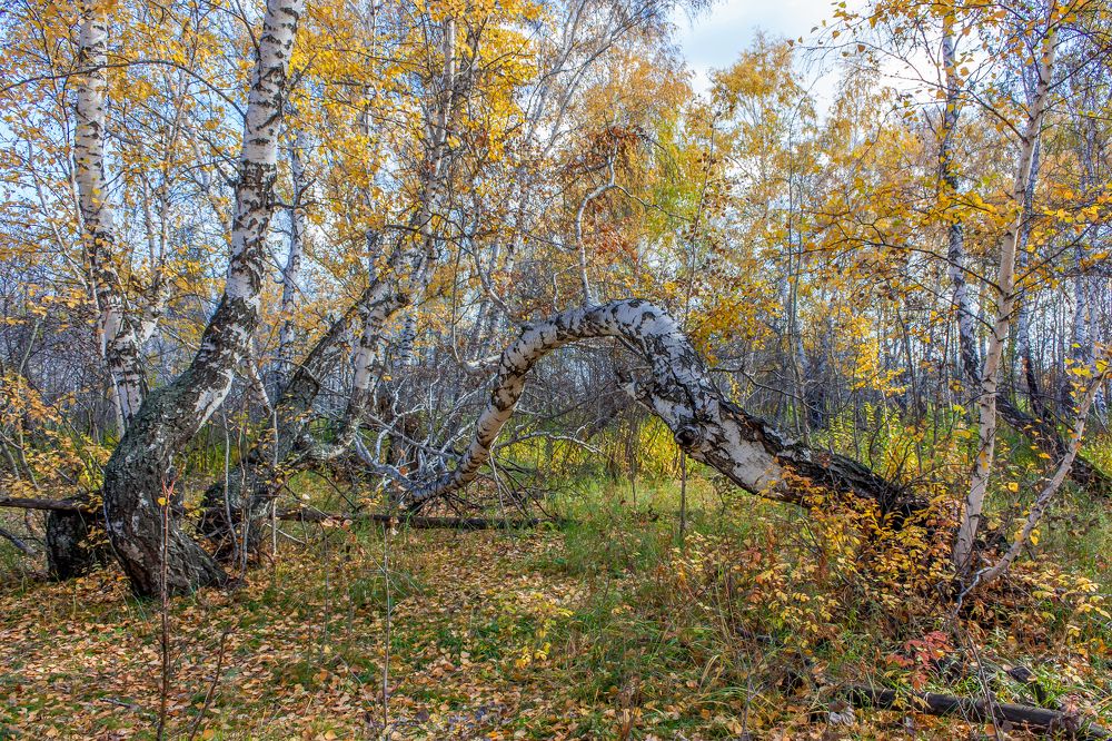 Photograph by Валерий Федяров