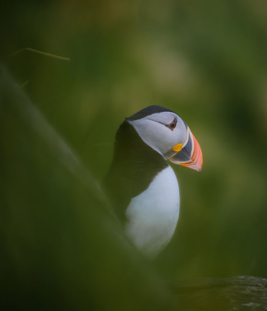 Photograph by Nikolai Mihhailov