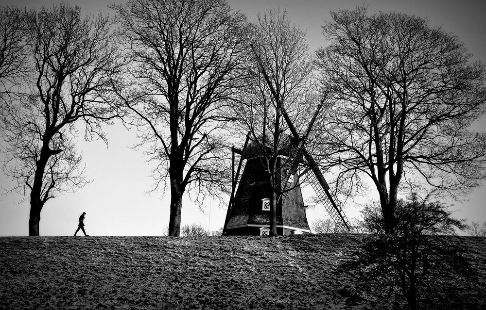 Фотография автора Ковяк Сергей Васильевич