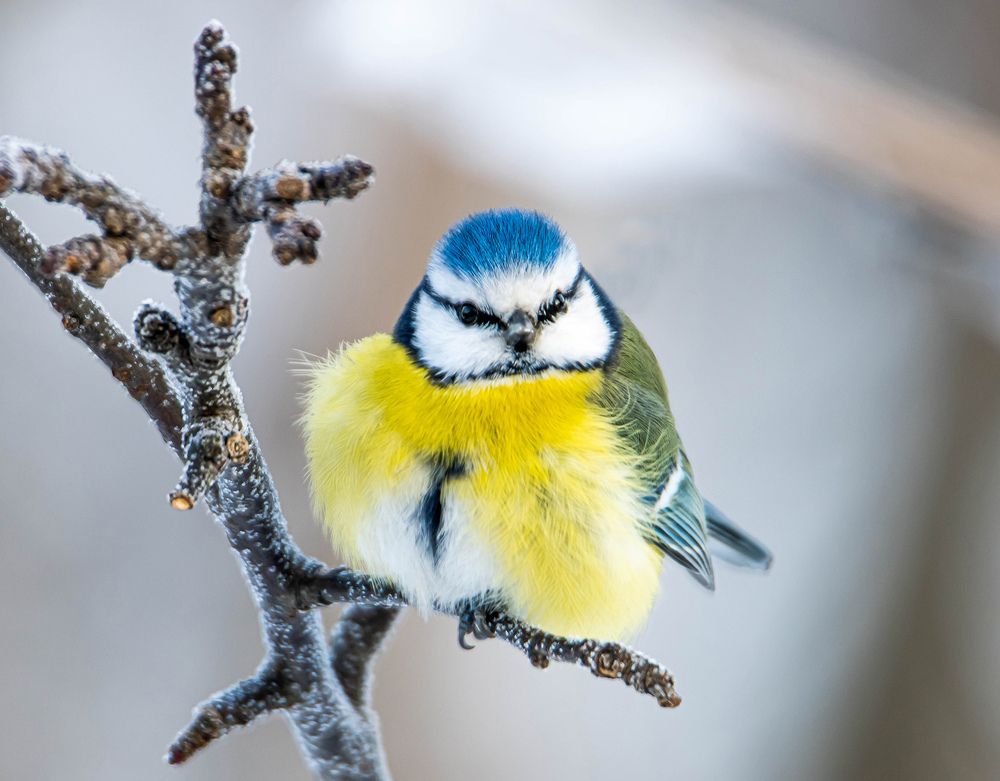 Photograph by Волынский Виктор