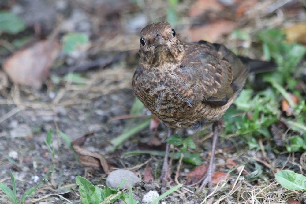 Photograph by Елена Иванкина