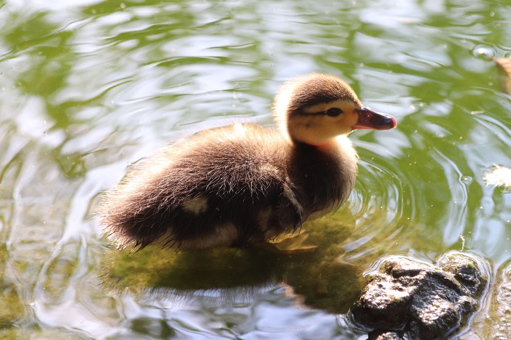 Photograph by Елена Иванкина