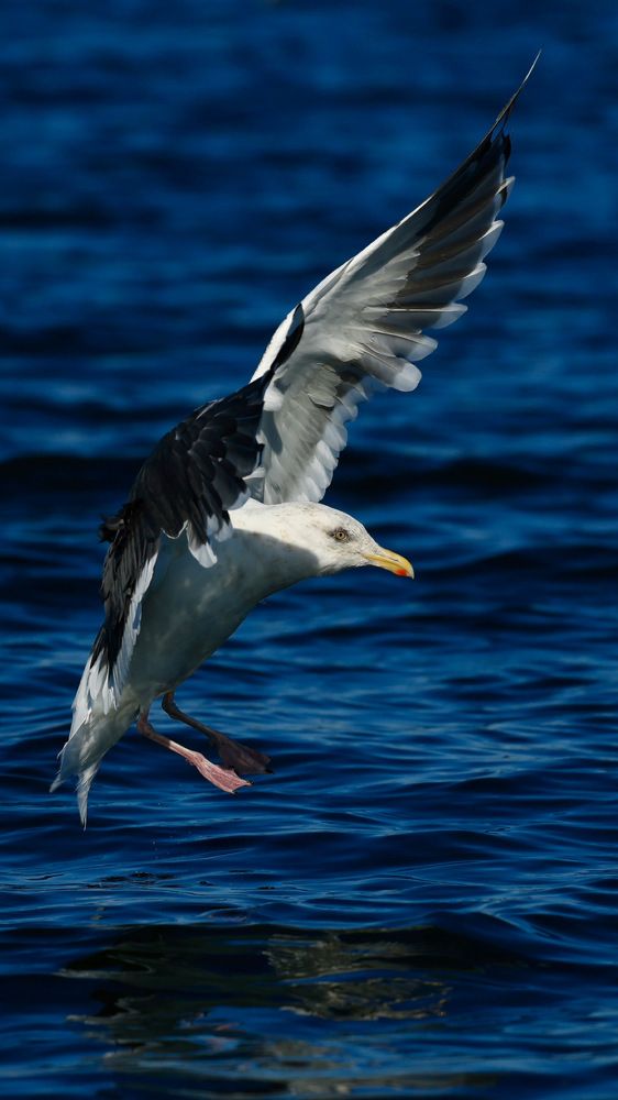 Photograph by Евгения Казакова