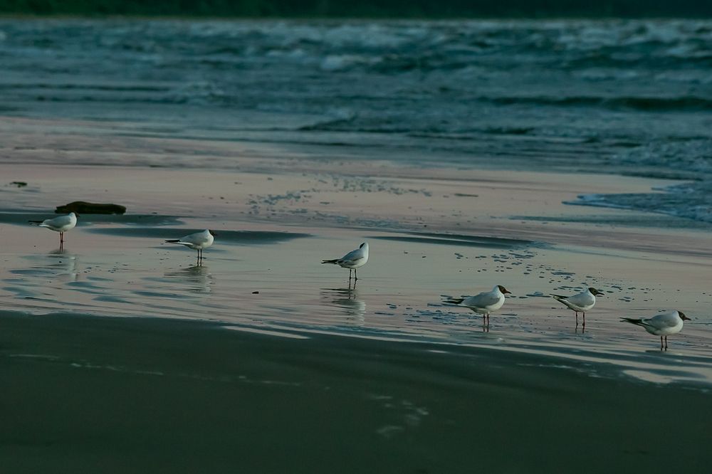 Photograph by Наталья Катюжанская