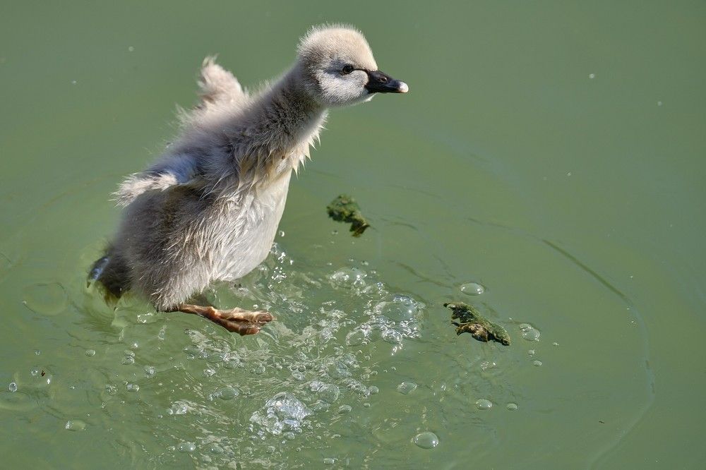 Photograph by Василий Арлашов