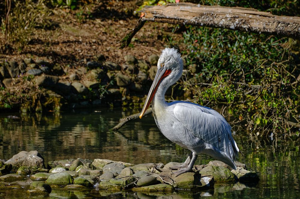 Photograph by Василий Арлашов