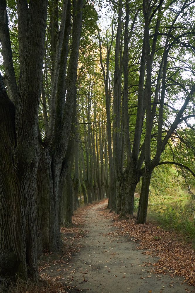 Photograph by Inna Tatarchenko