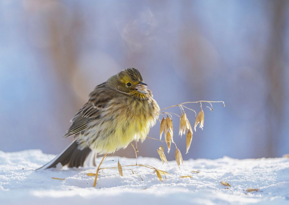 Photograph by Андрей Киселёв