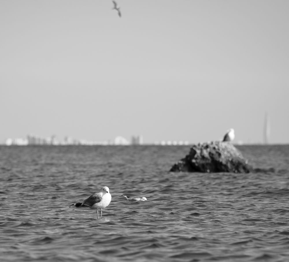 Photograph by Aleksandr Kolonsky