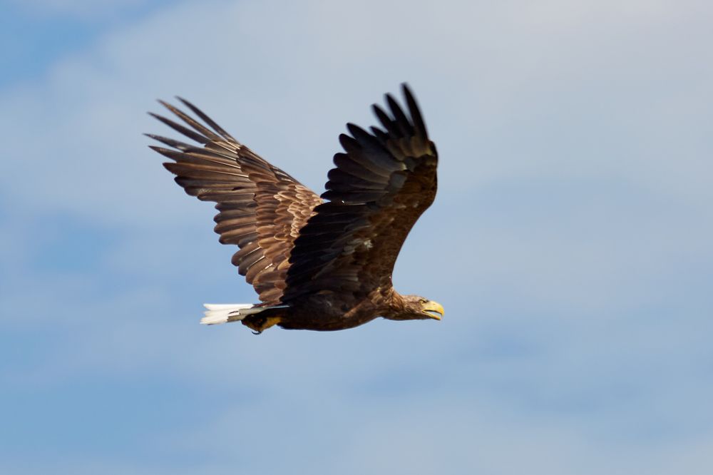 Photograph by Александр Шандов