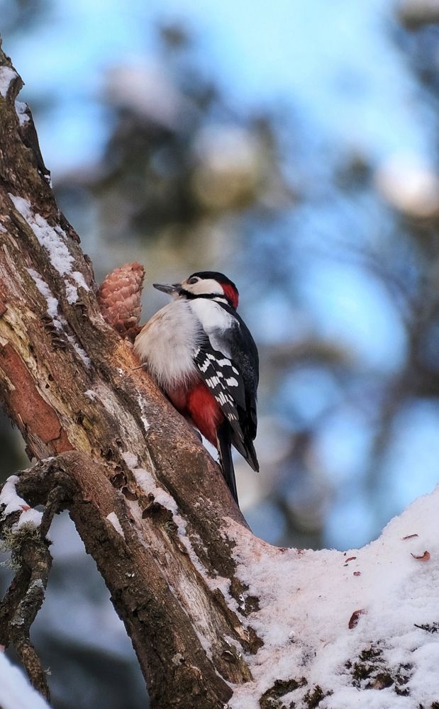 Photograph by Жанна Силаева