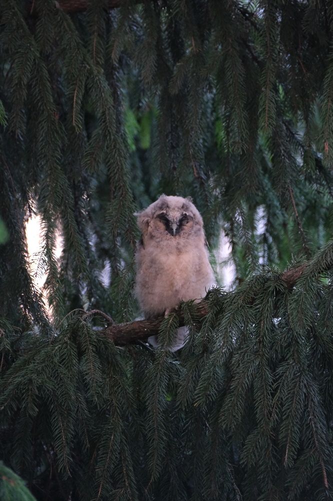 Photograph by Жанна Силаева