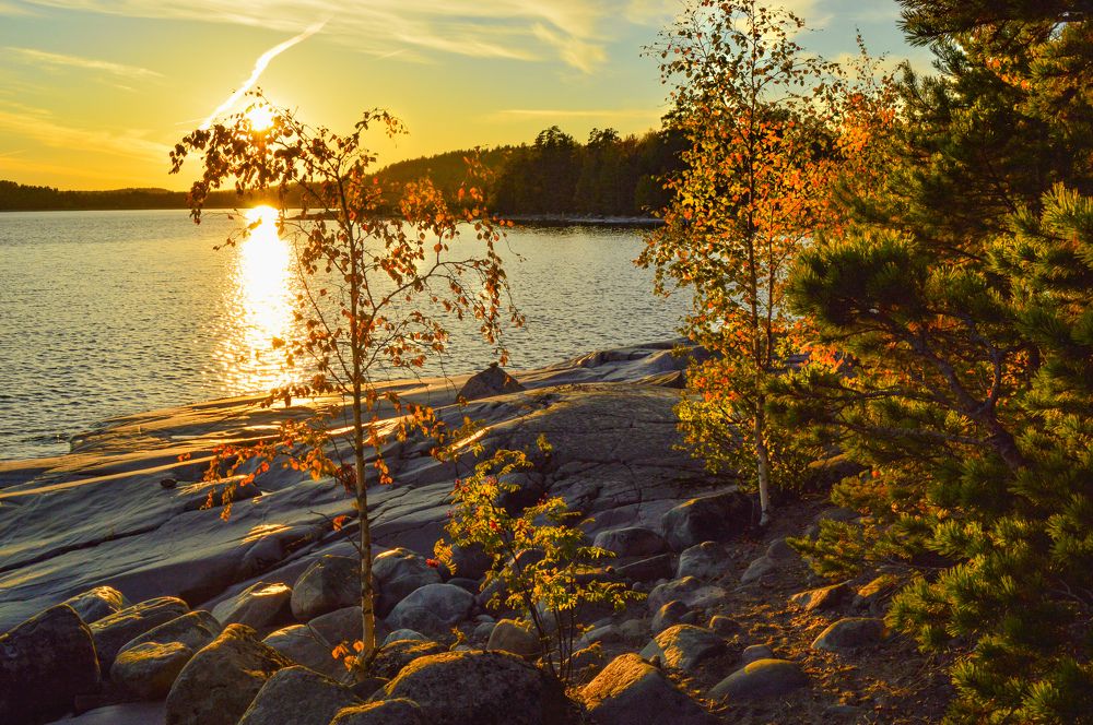 Photograph by Екатерина Казарцева