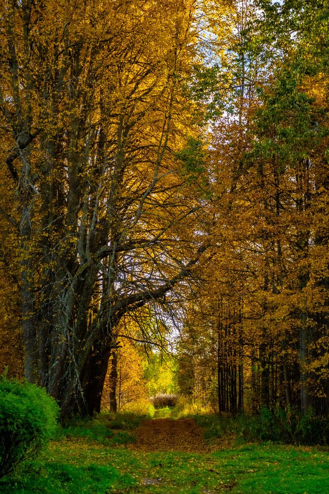 Photograph by Антон Бабичев