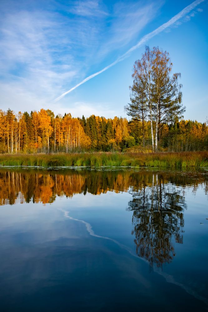 Photograph by Антон Бабичев