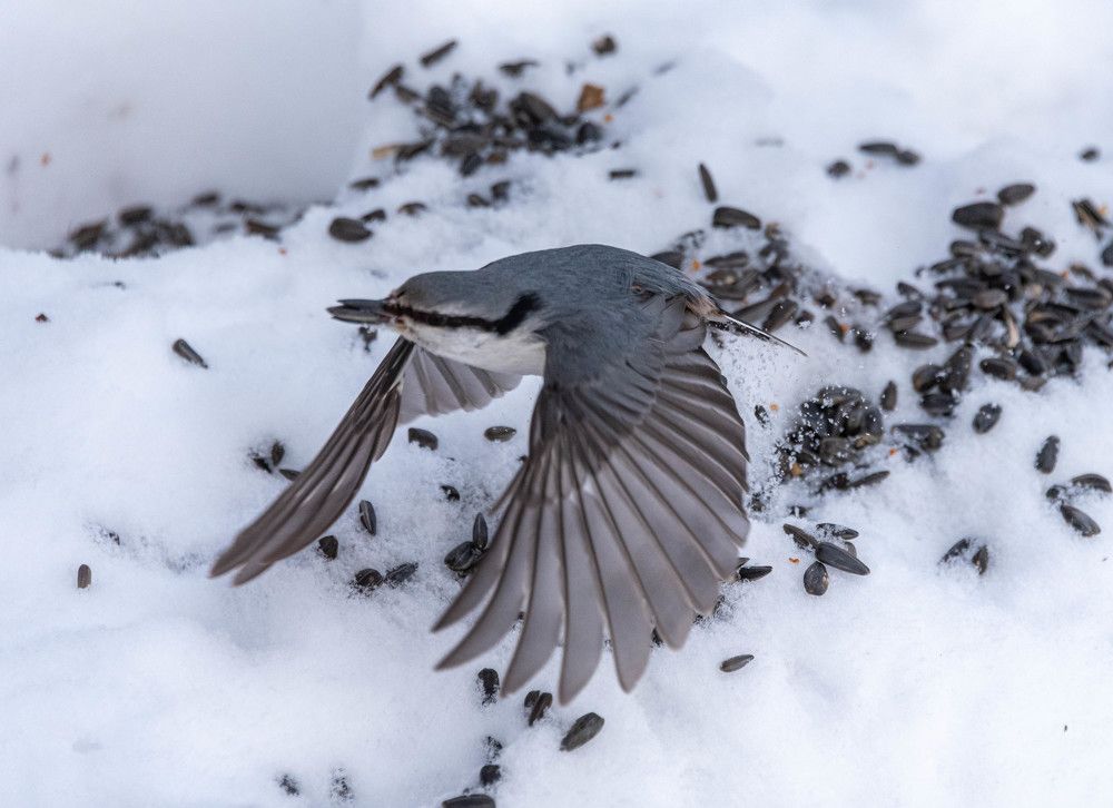 Photograph by Кристина