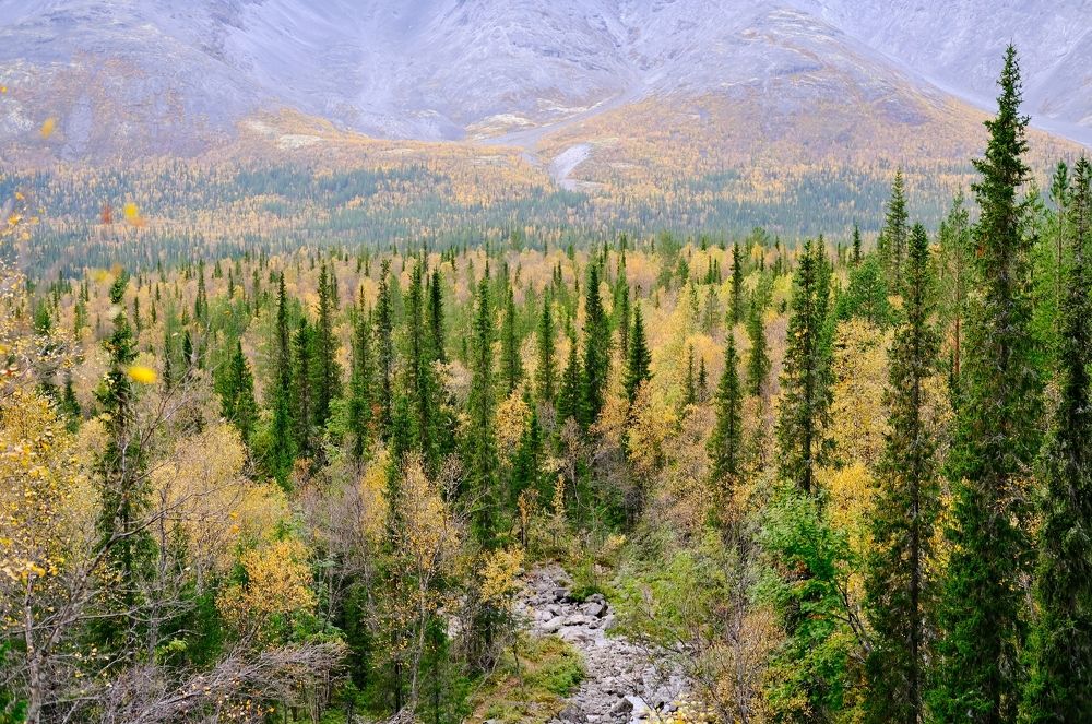Сентябрь в Хибинах