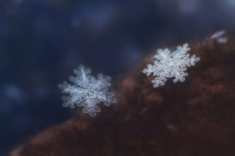 Photograph by Алёна Сурнина