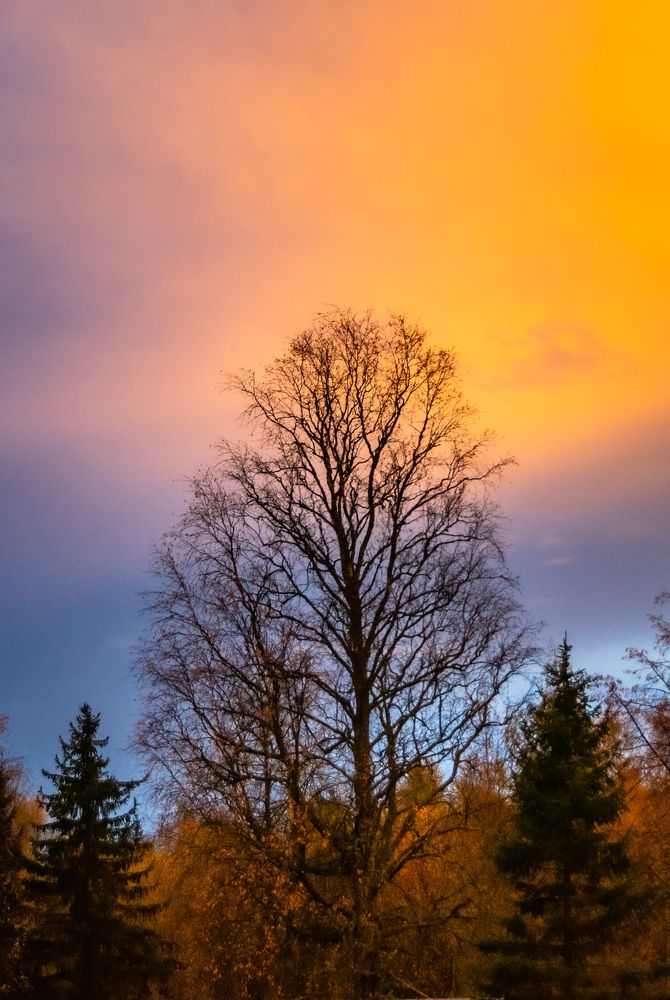 Photograph by Антон Бабичев