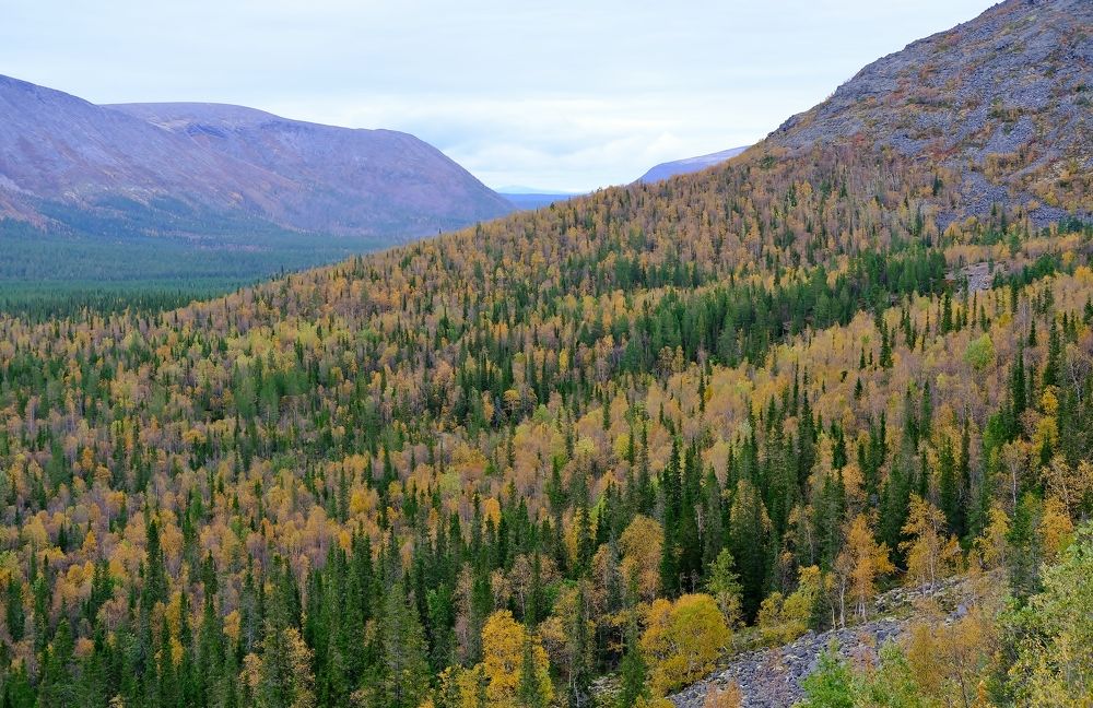 Photograph by Светлана Федотова