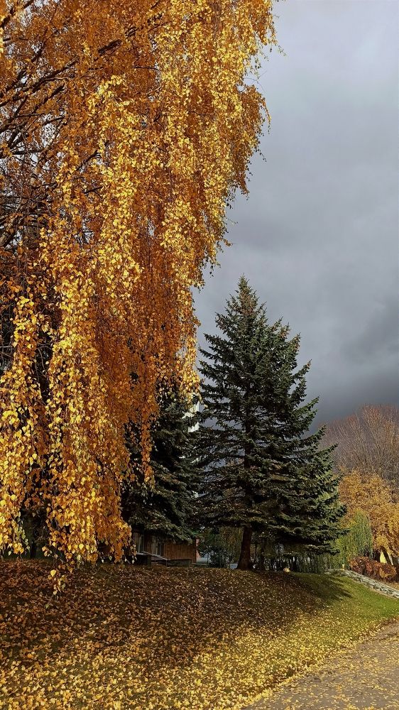 Photograph by Людмила Щуцкая