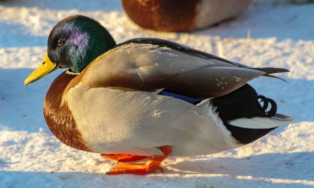 Photograph by Igors Rostikovs