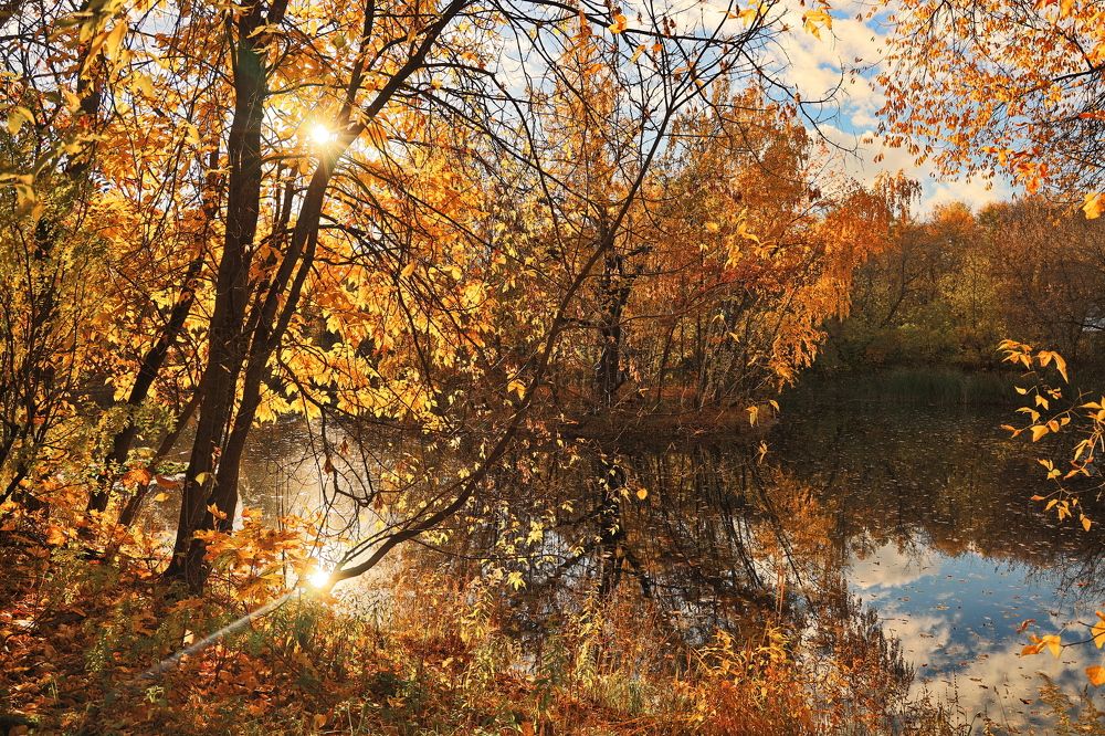 Photograph by Алексей Зимин