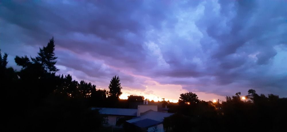 Photo #11086384