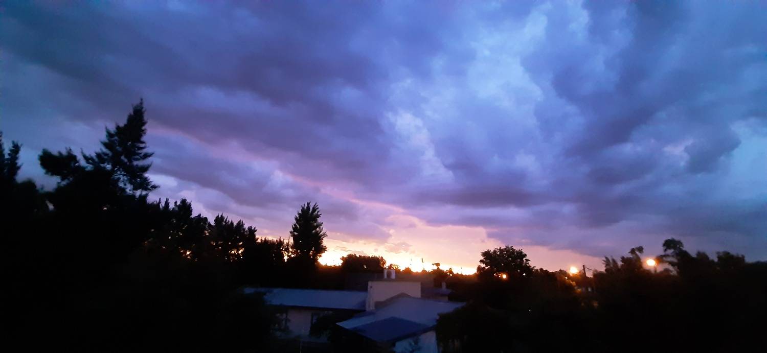Photo #11086384