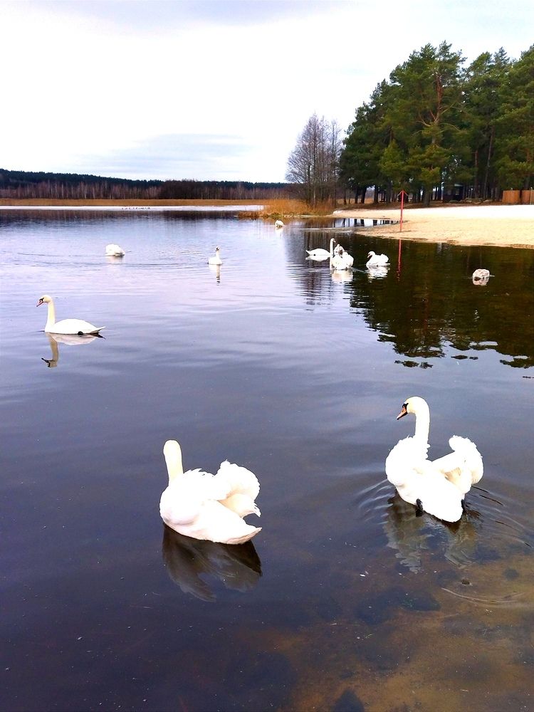 Фотография автора Елена Рузинова