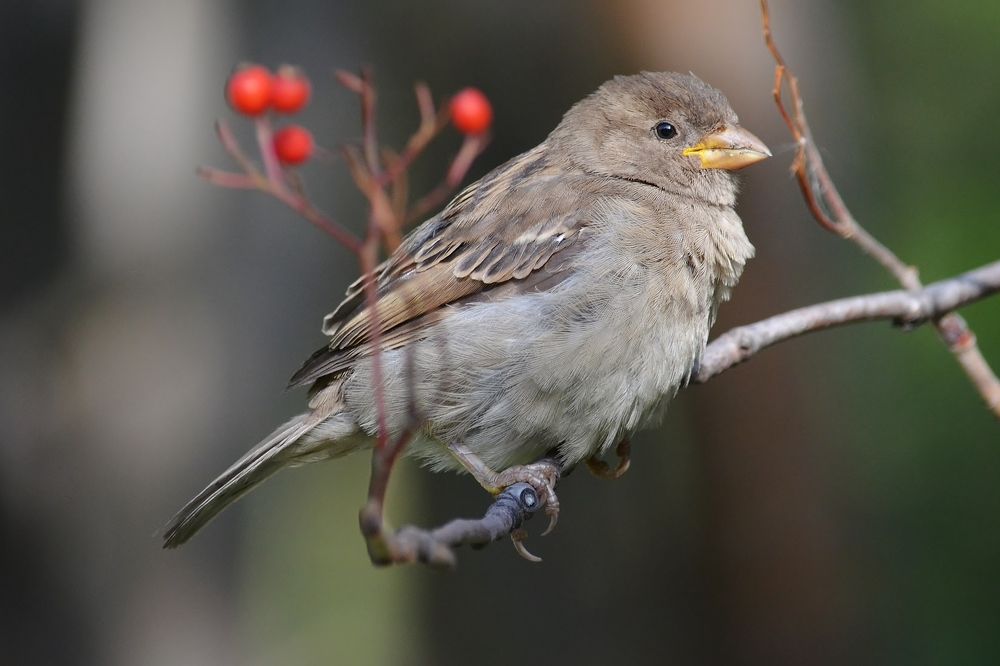 Вот и лето прошло