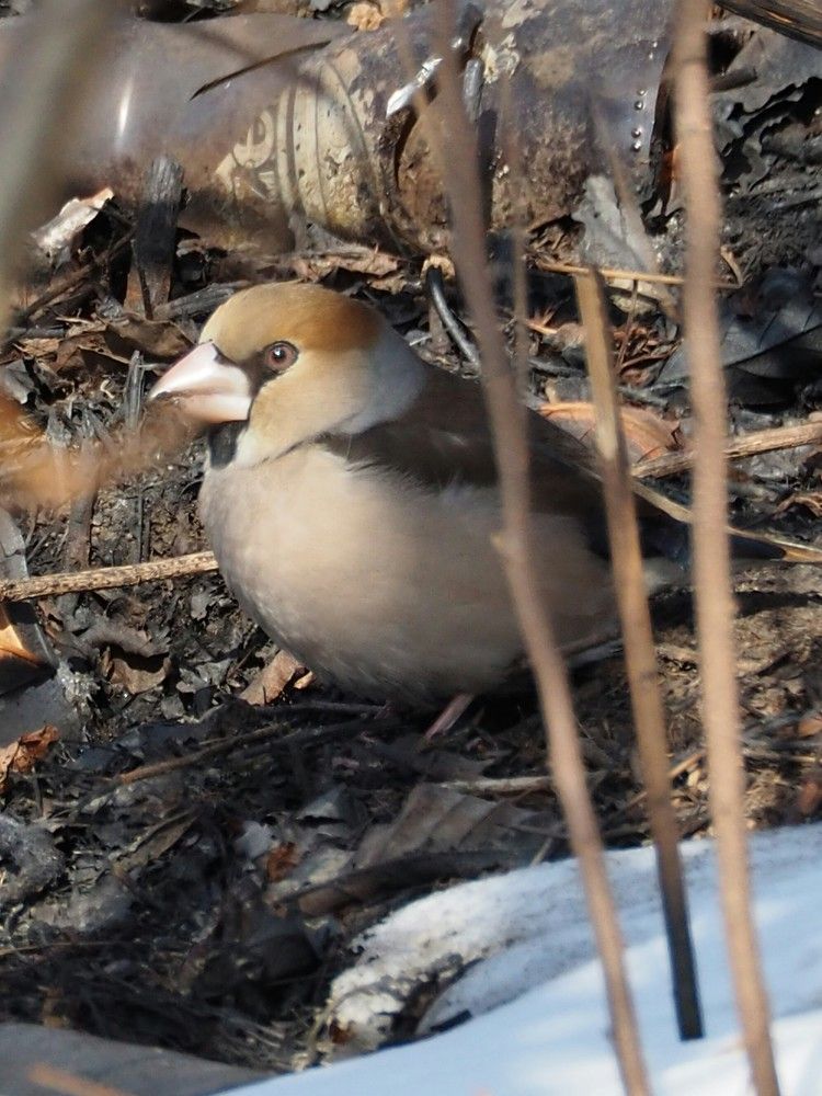 Photograph by Markov Alexander