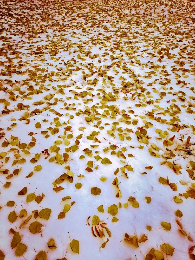 Photograph by Татьяна Бешенкина