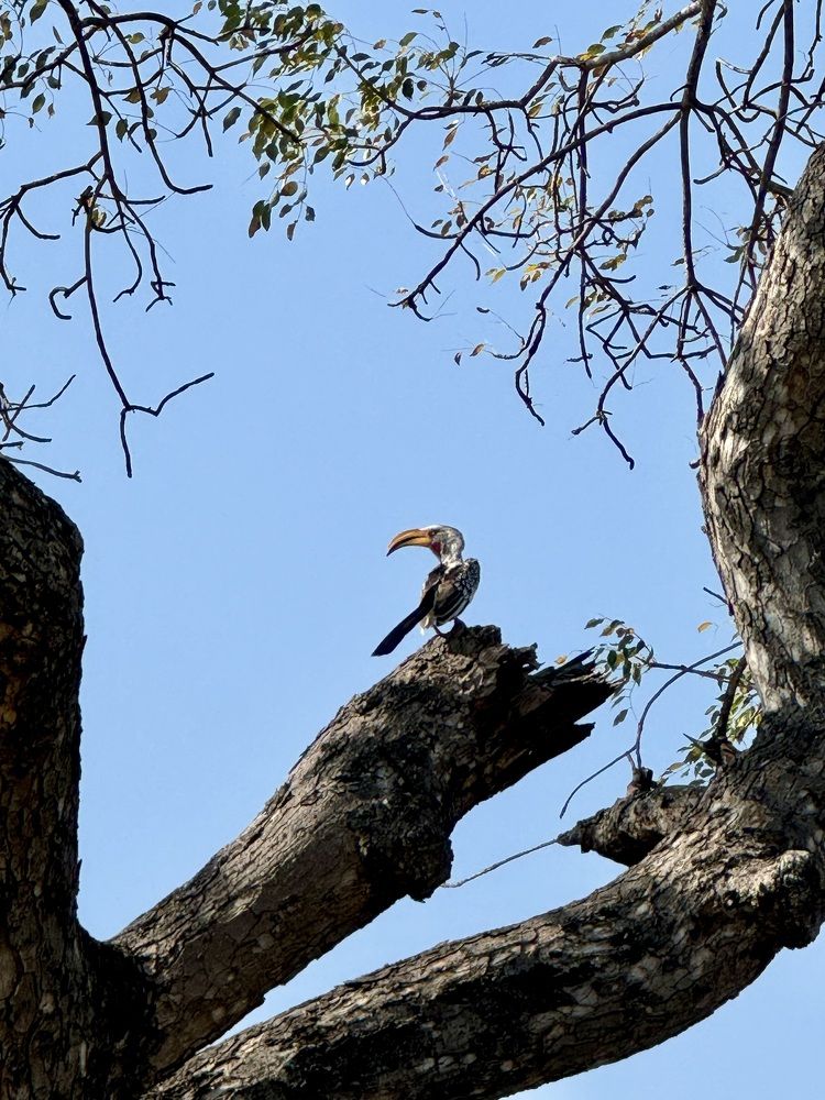 Photograph by Anton Kuzmin