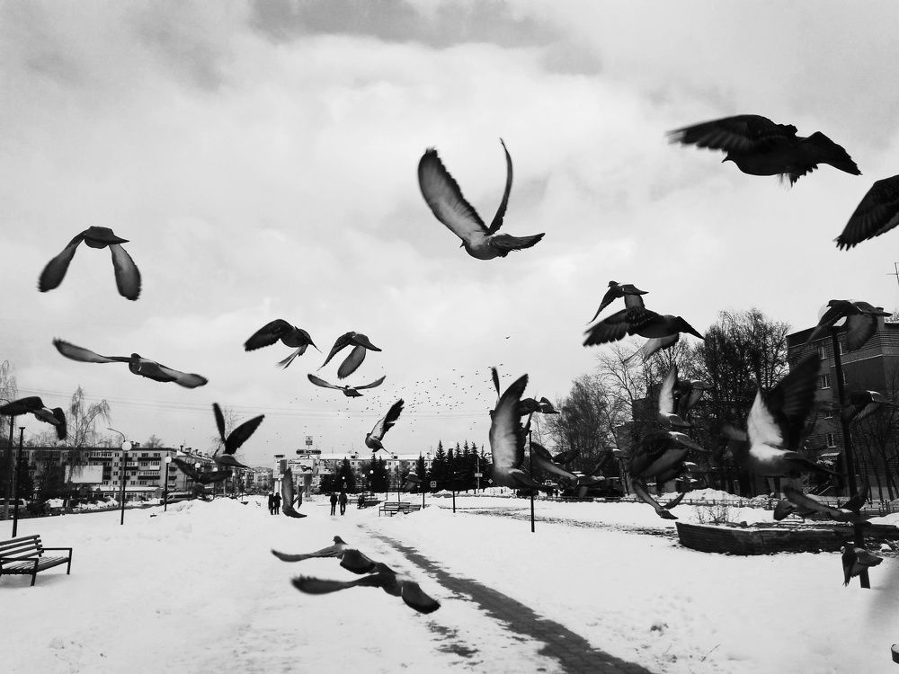 Photograph by Лилия Мустафина