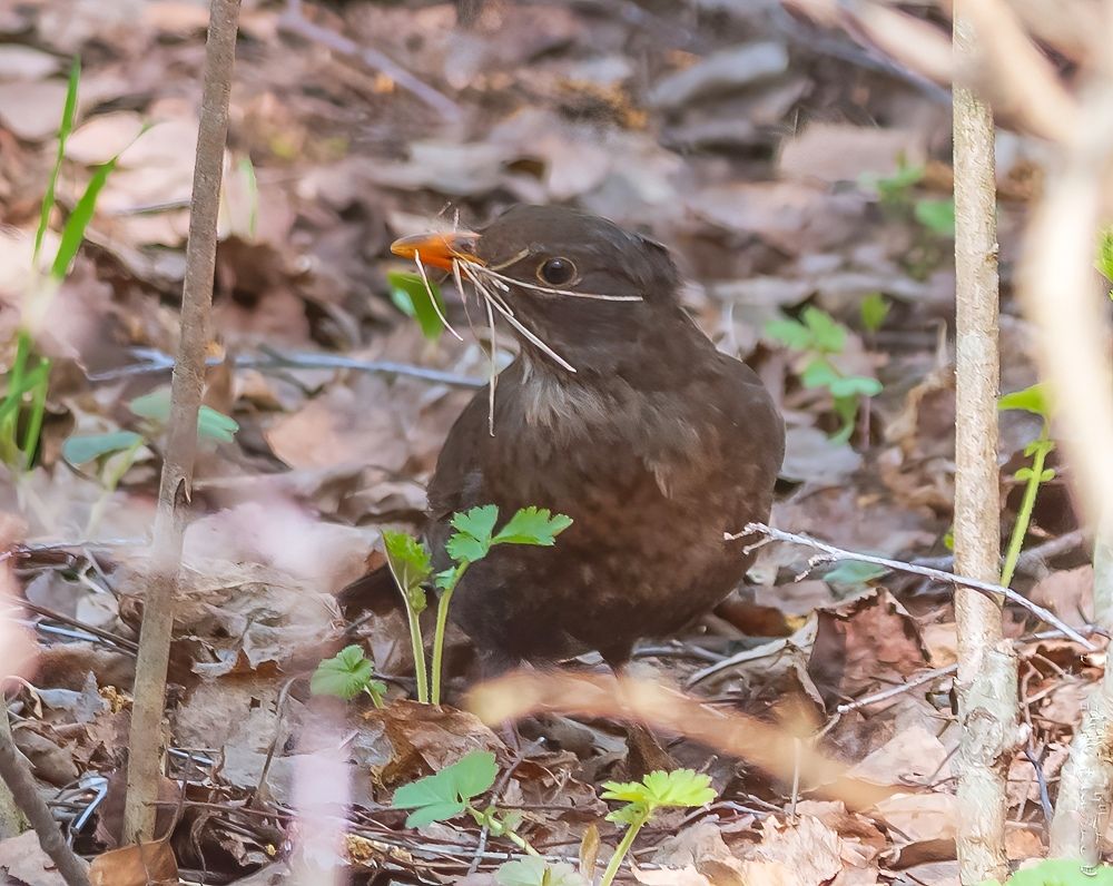 Photograph by Вадим Маслов