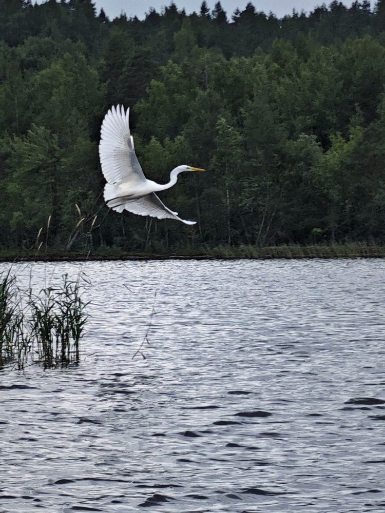 Photograph by Олеся Зеленщикова