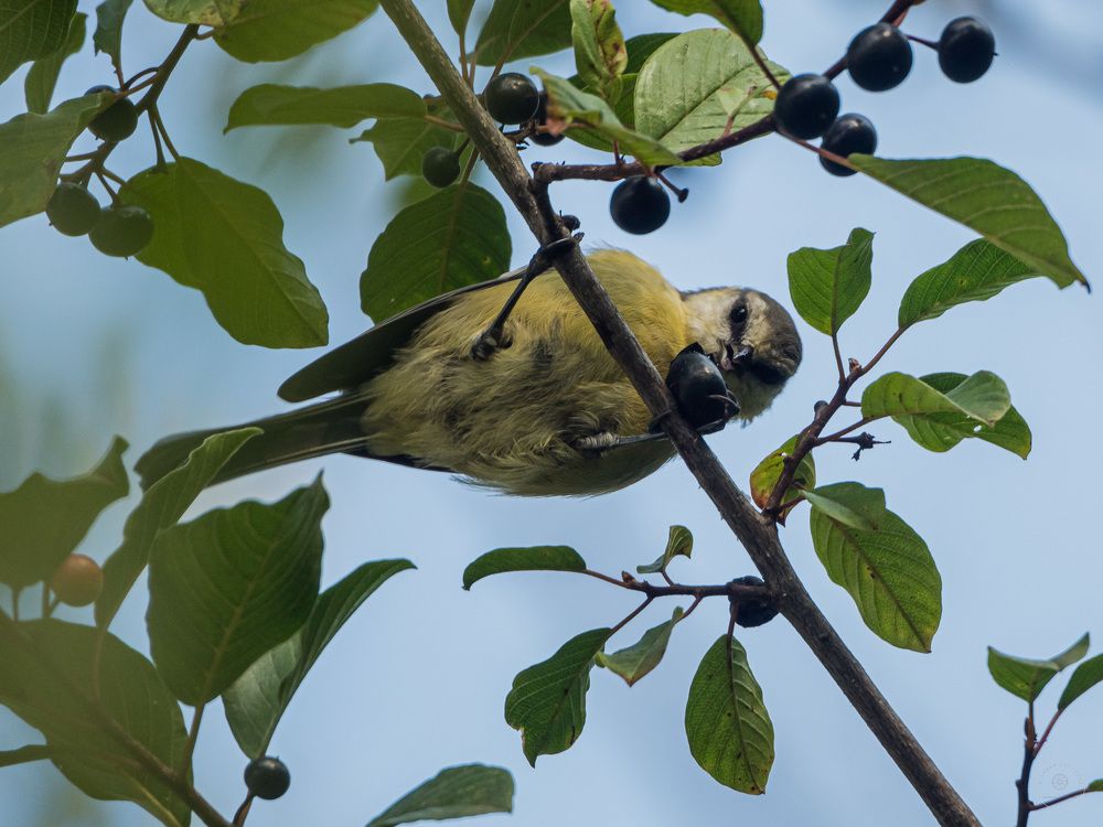 Photograph by Adam Lorenc