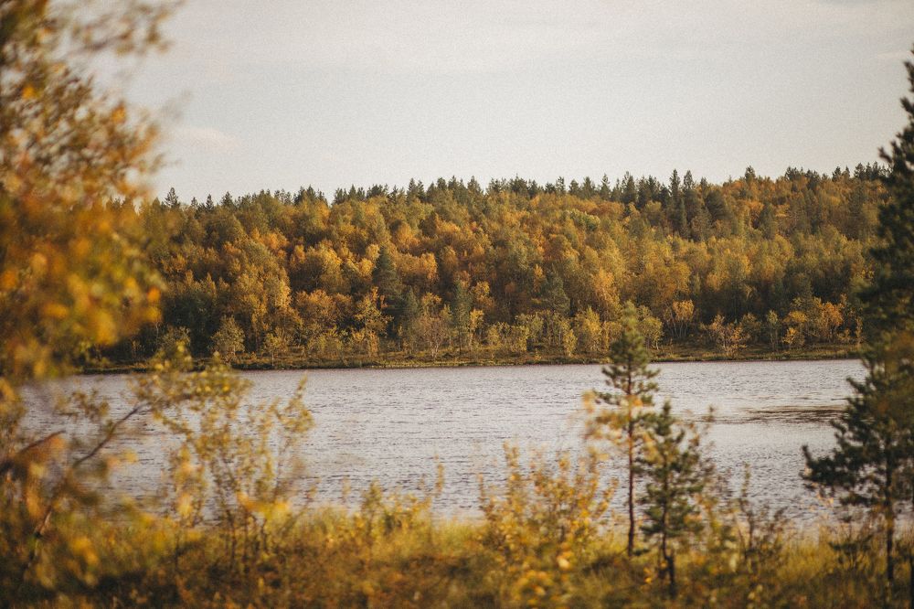 Фотография автора Yulia Babushkina